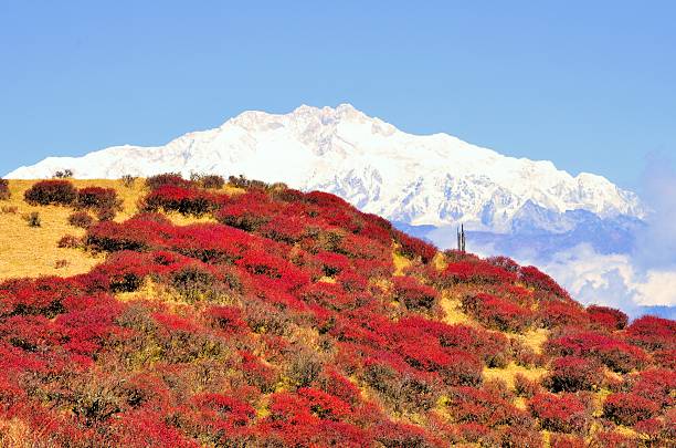 spring Kangchenjunga